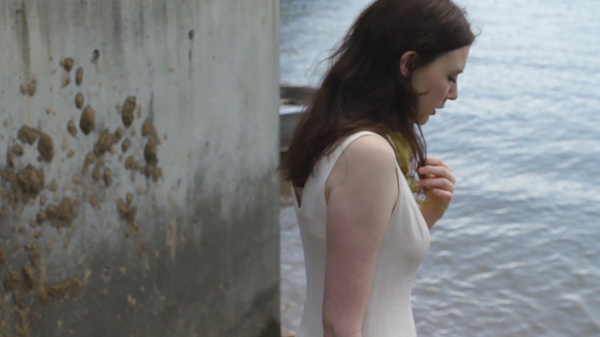 'Mothlight' Still 7