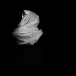 Ectoplasm, 2012