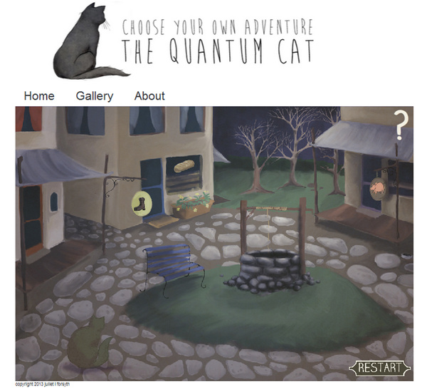 The Quantun Cat 