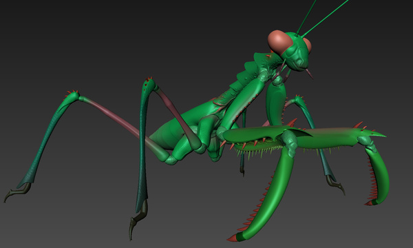 Preying Mantis Model