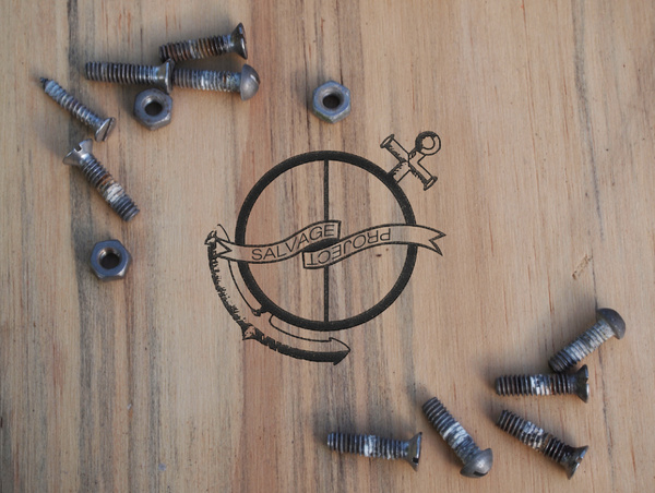 Salvage Project 2013