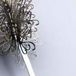Endangered (2013) 'Banksia Brownii'