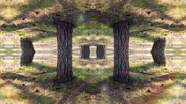 Kalision   "Reality Is Like A Mirror; It Is A Reflection Of Your Inner Self. It Has Been Said That The World As We Know It Gets More Unreal When We Are Most Real And True To Ourselves."