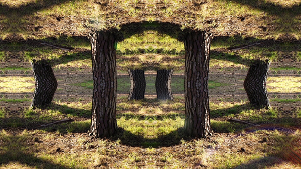 Kalision   "Reality Is Like A Mirror; It Is A Reflection Of Your Inner Self. It Has Been Said That The World As We Know It Gets More Unreal When We Are Most Real And True To Ourselves."