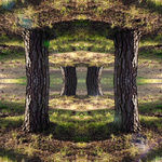 Kalision   "Reality Is Like A Mirror; It Is A Reflection Of Your Inner Self. It Has Been Said That The World As We Know It Gets More Unreal When We Are Most Real And True To Ourselves."