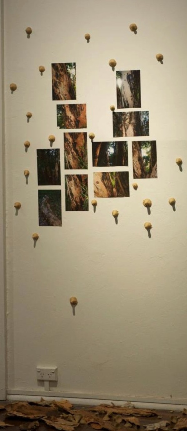 Fleeting Nourishment (2012)   Gallery Installation