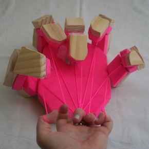 Schroedinger's Moth (2012)