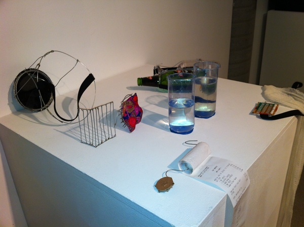 Alternate Vision Apparatus' (2012) 
