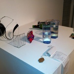 Alternate Vision Apparatus' (2012) 