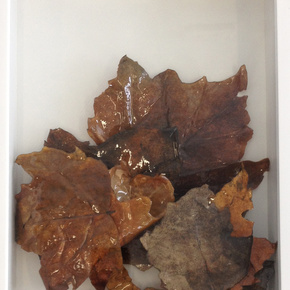Glass Leaves