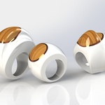 Solidworks Ring Series