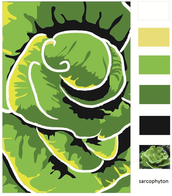 Sarcophyton