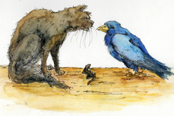Negotiations Between The Clans
