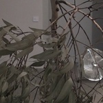 A Second Chance, 2013, Tree Branch, Automated Fans, Dimensions Variable