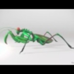 Preying Mantis Turntable