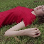 Mothlight (2013) Excerpt