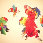 The Birds