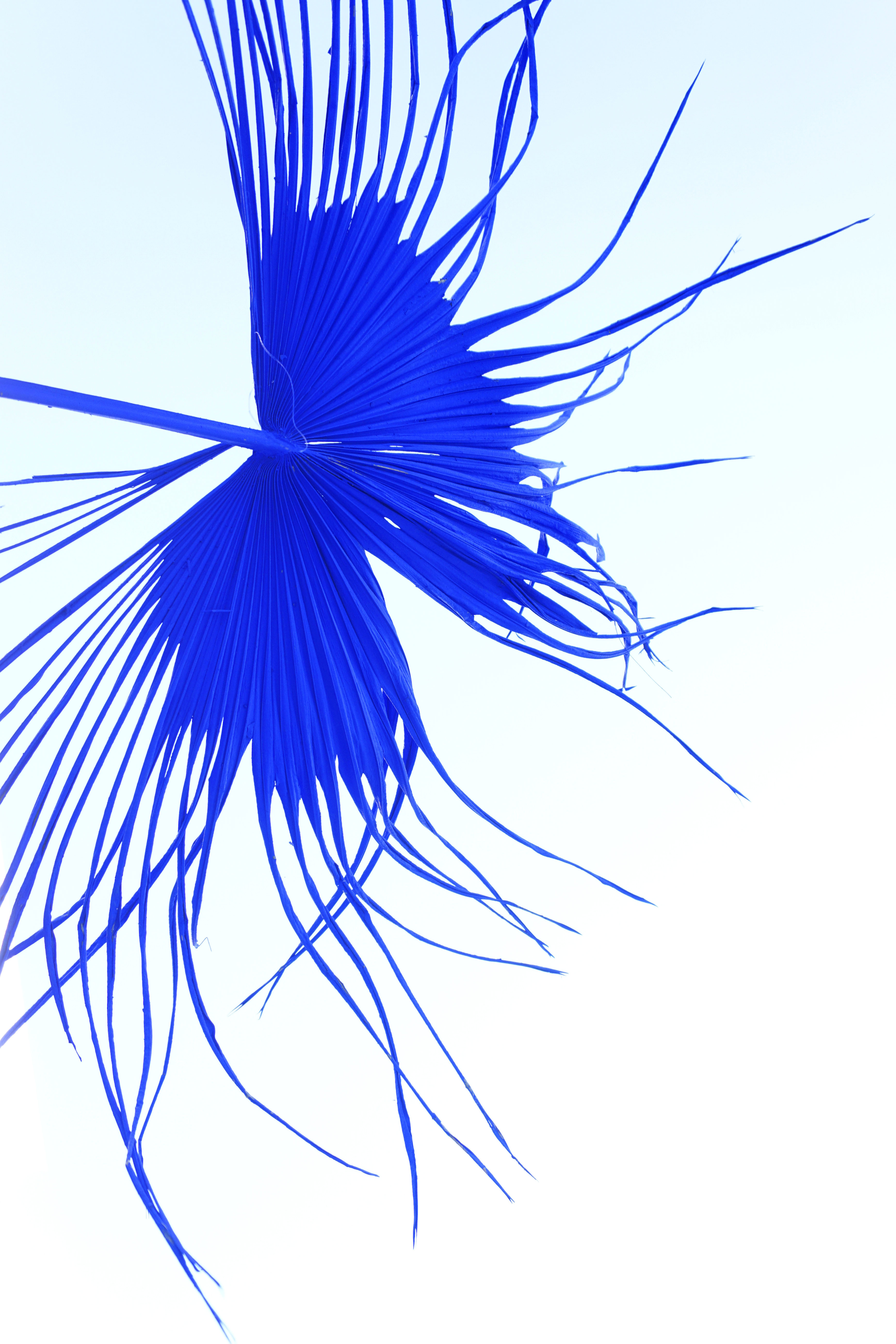 Blue Artifice (detail)