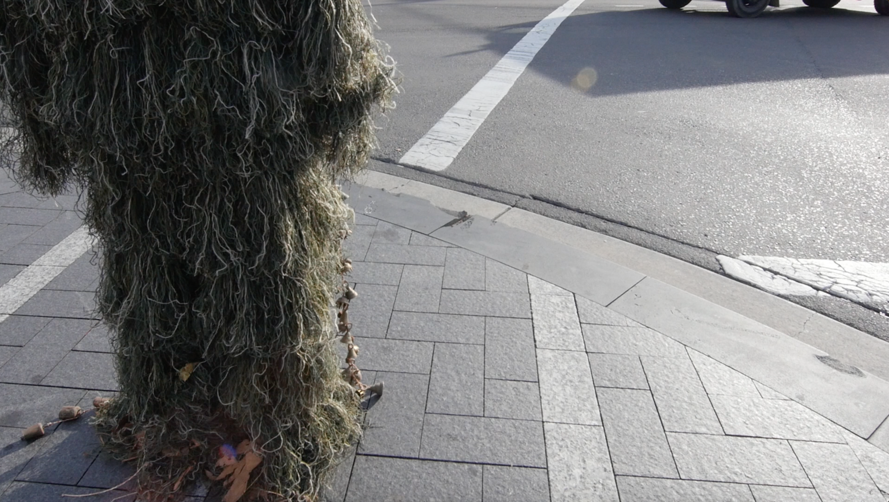 Greenman: Streetwalker