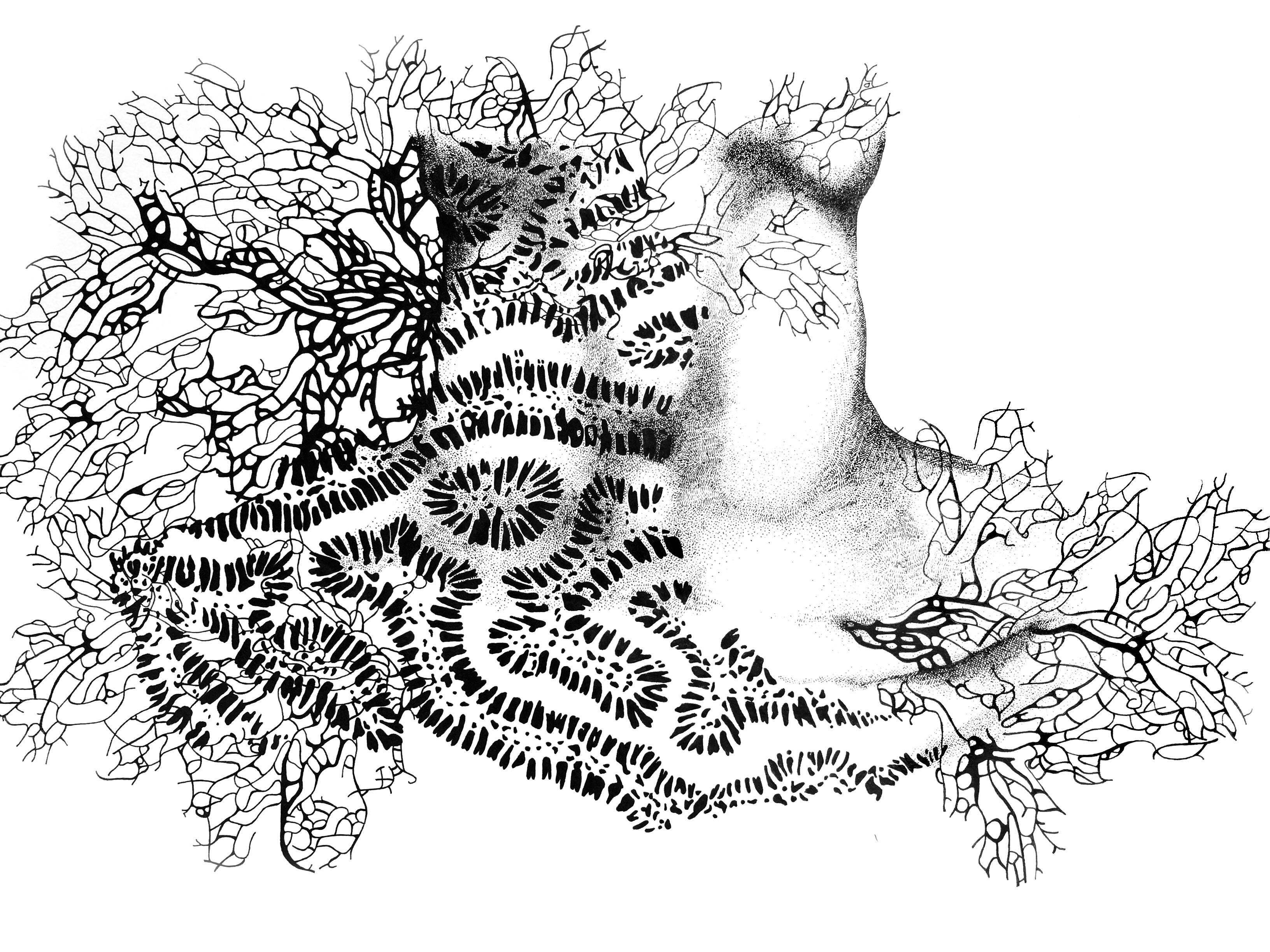 Mind Coral