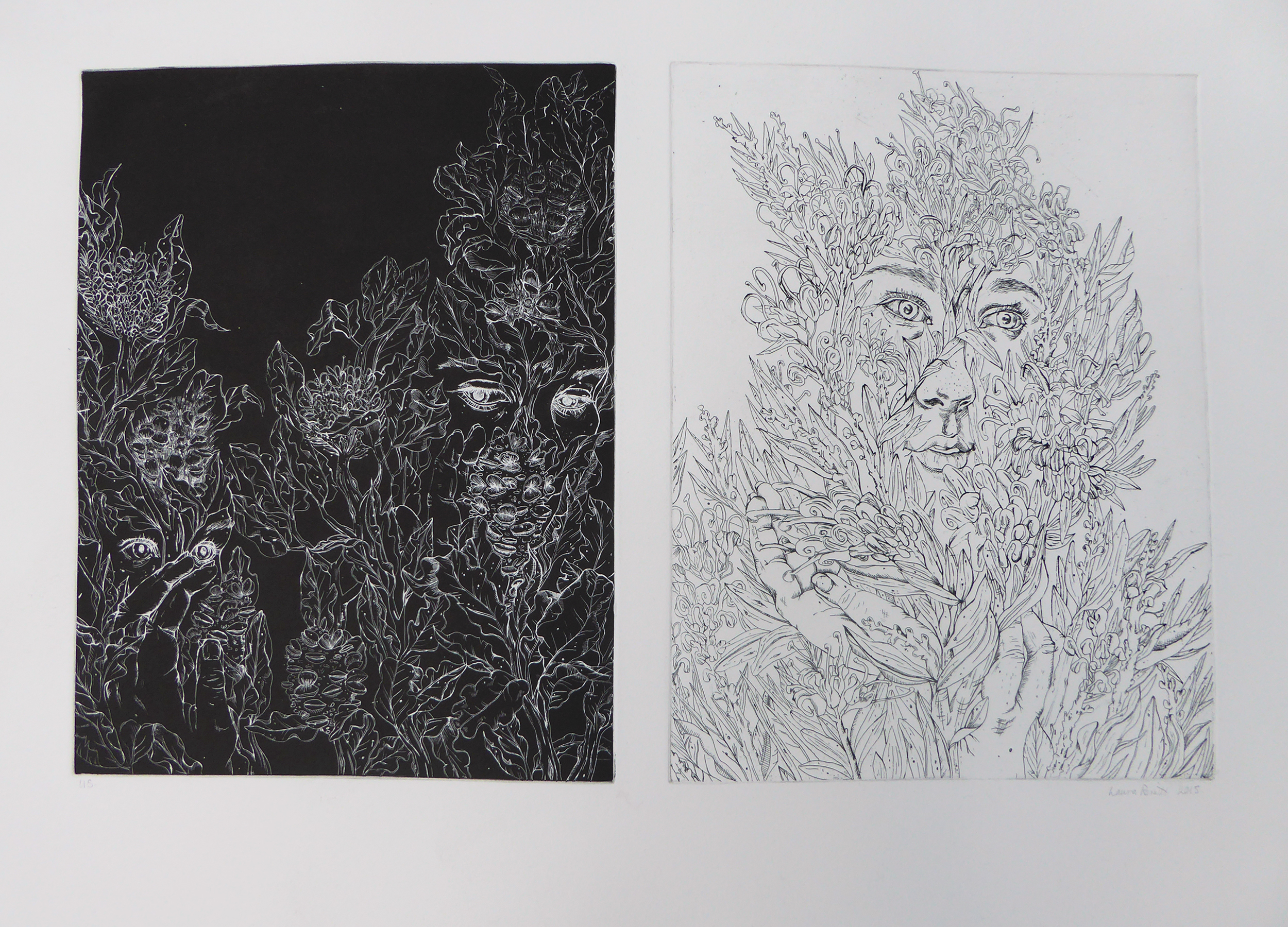 Banksia & Grevillea