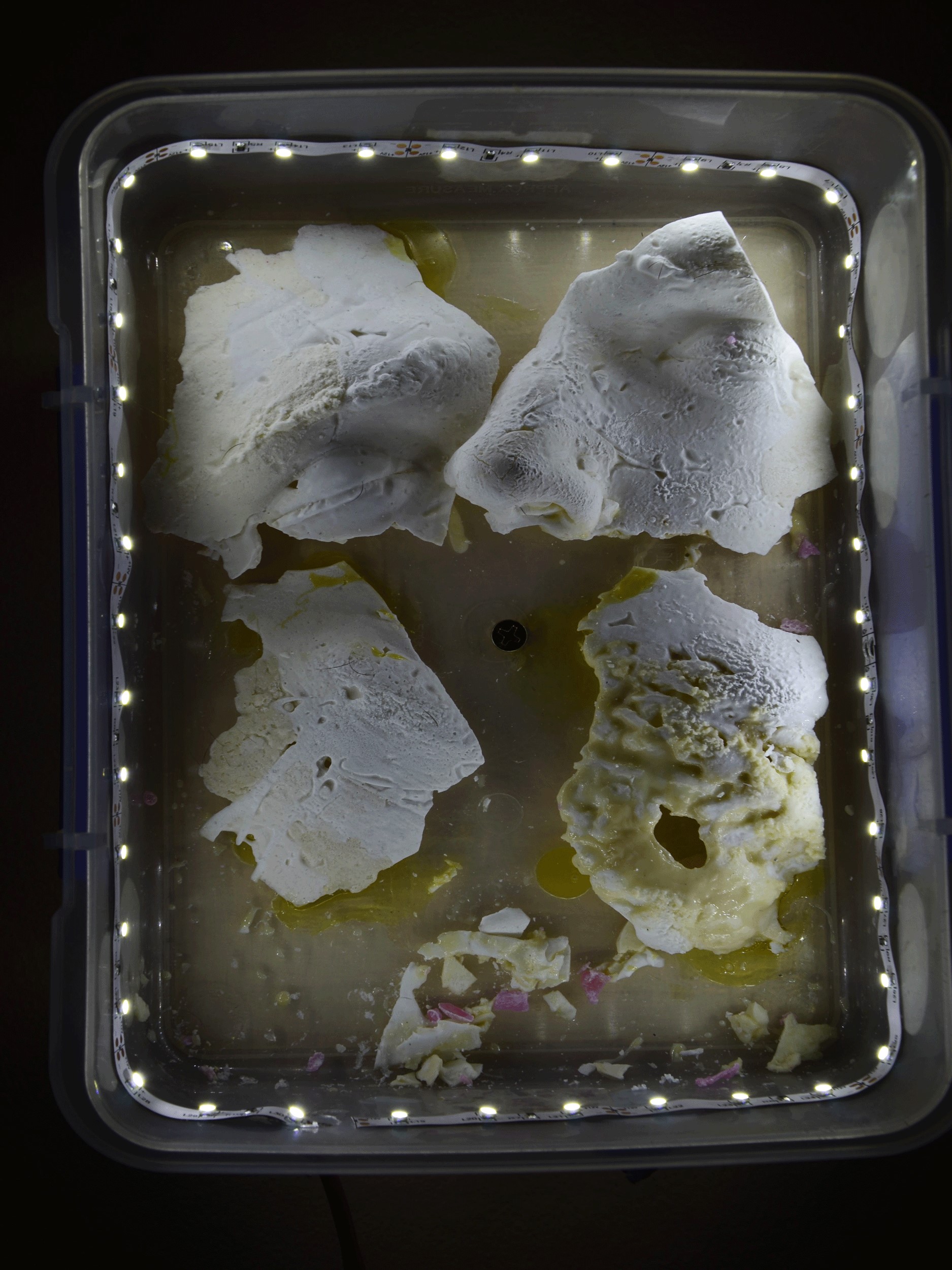 Artist's Face in Sugar (Homemade)