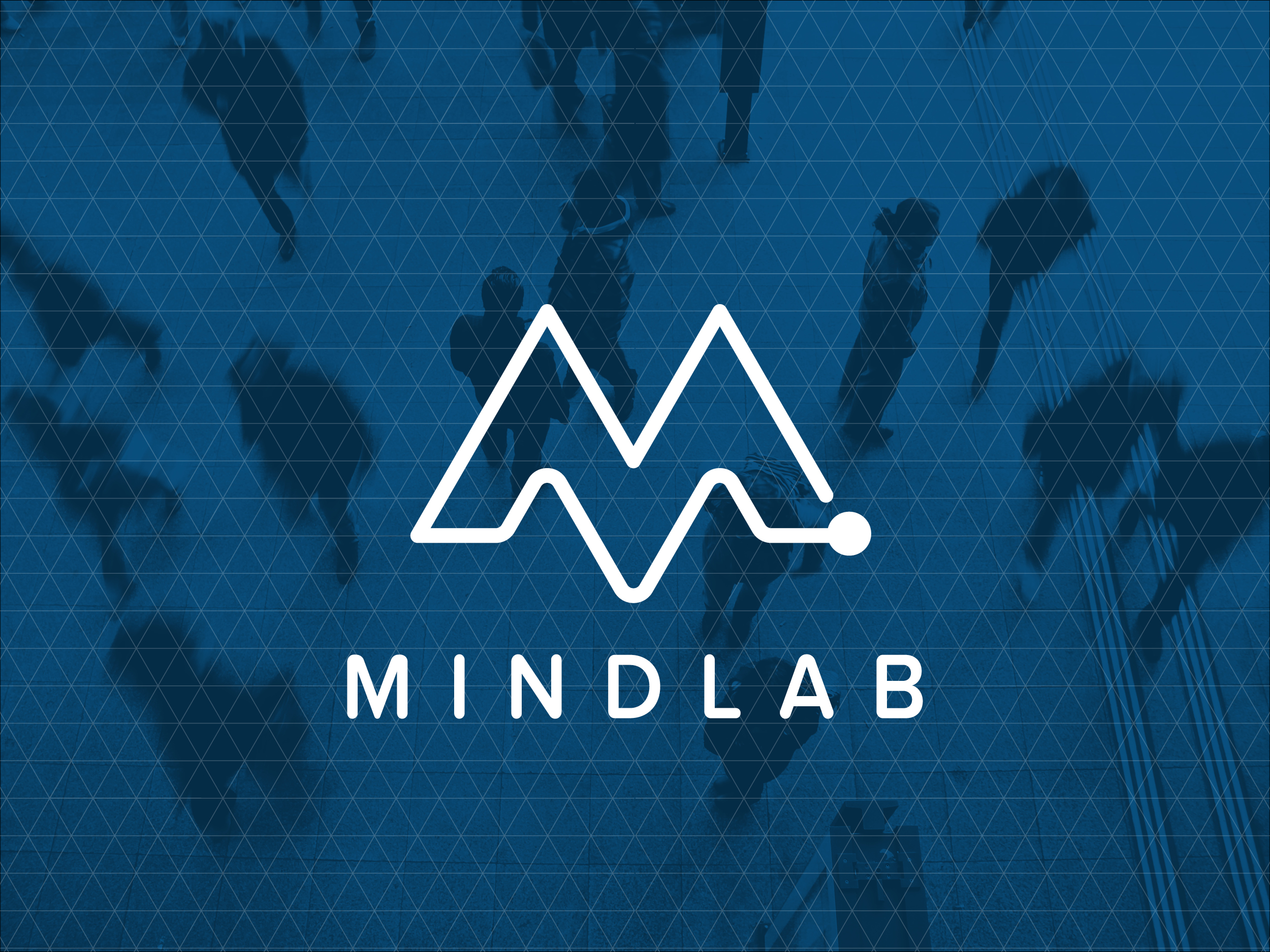 Mind Lab
