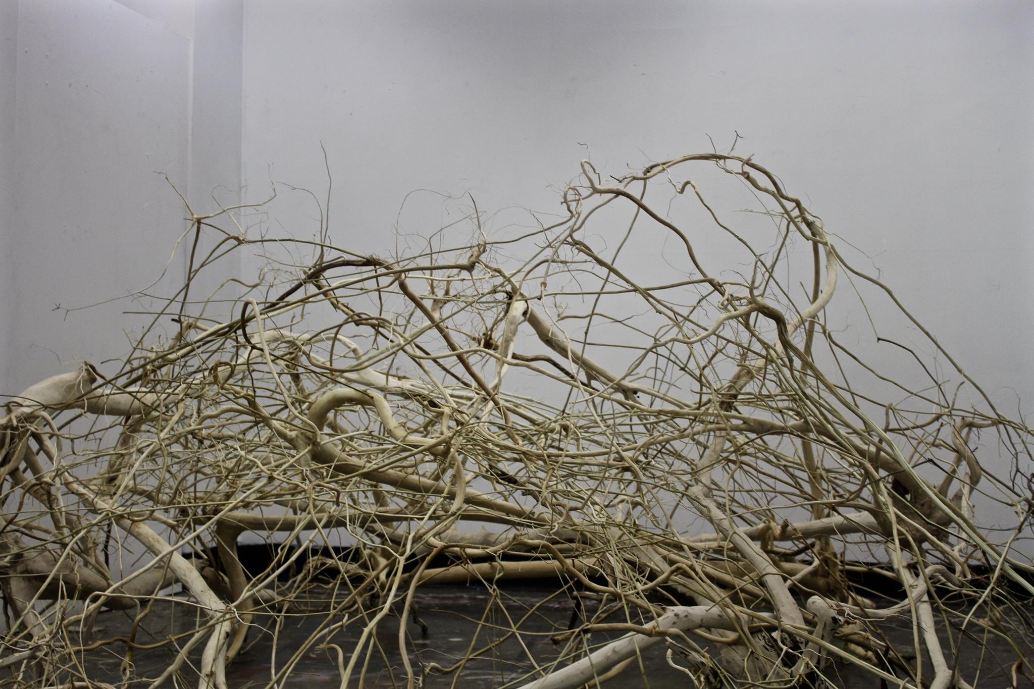 Anthropocentric Rhizome
