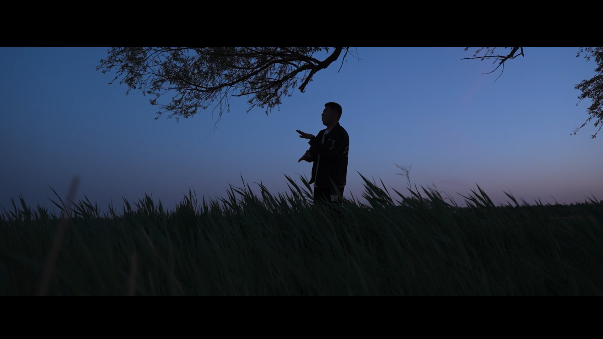 Golden Dance (2023)