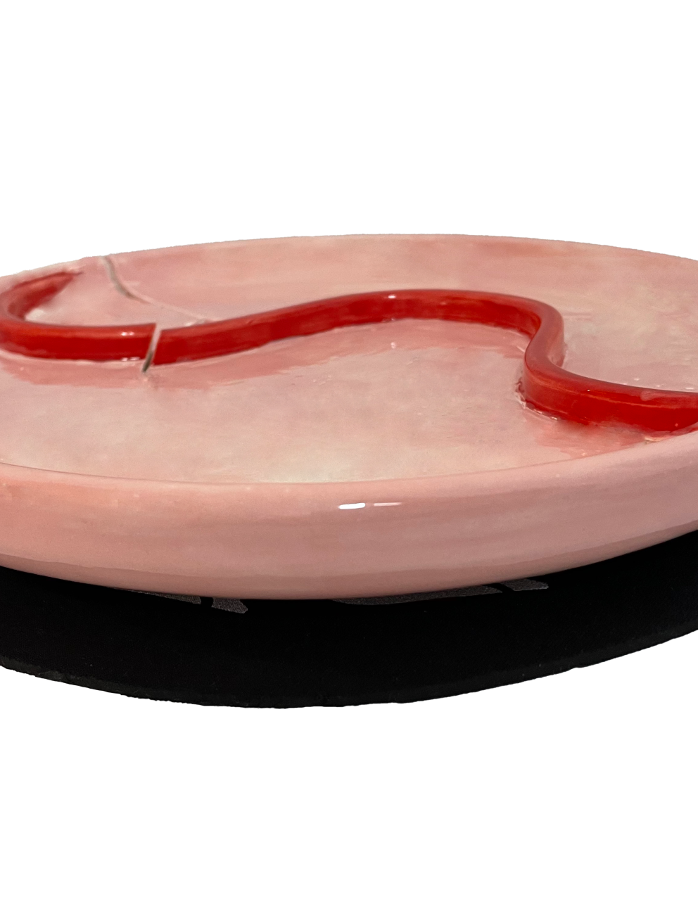 Picky Plates (2023)