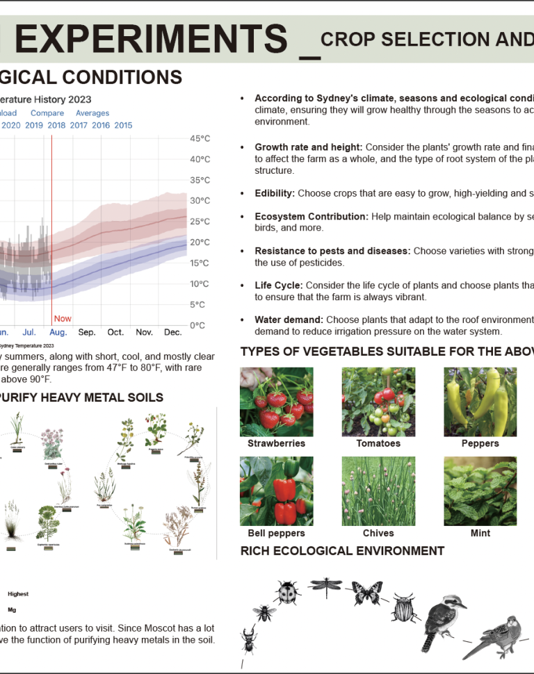 Sustainable Rooftop Farm (2023)