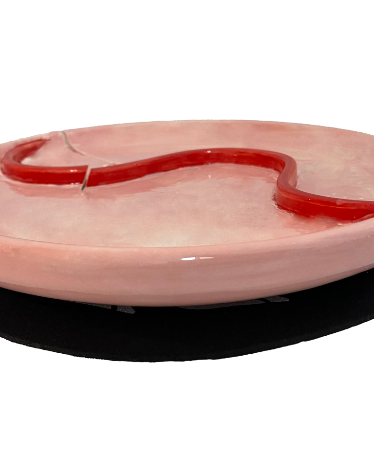 Picky Plates (2023)