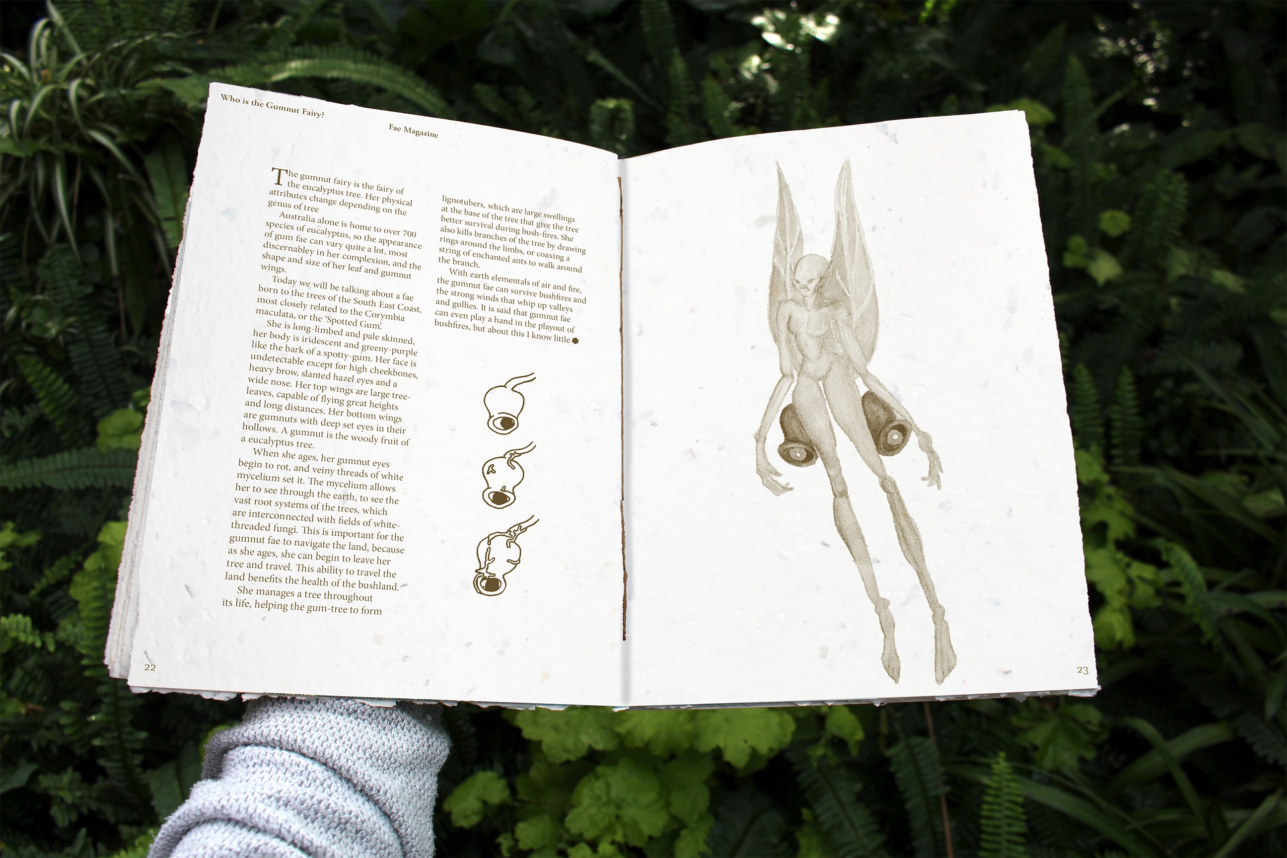 'Fae Magazine', 2024. Print Publication
