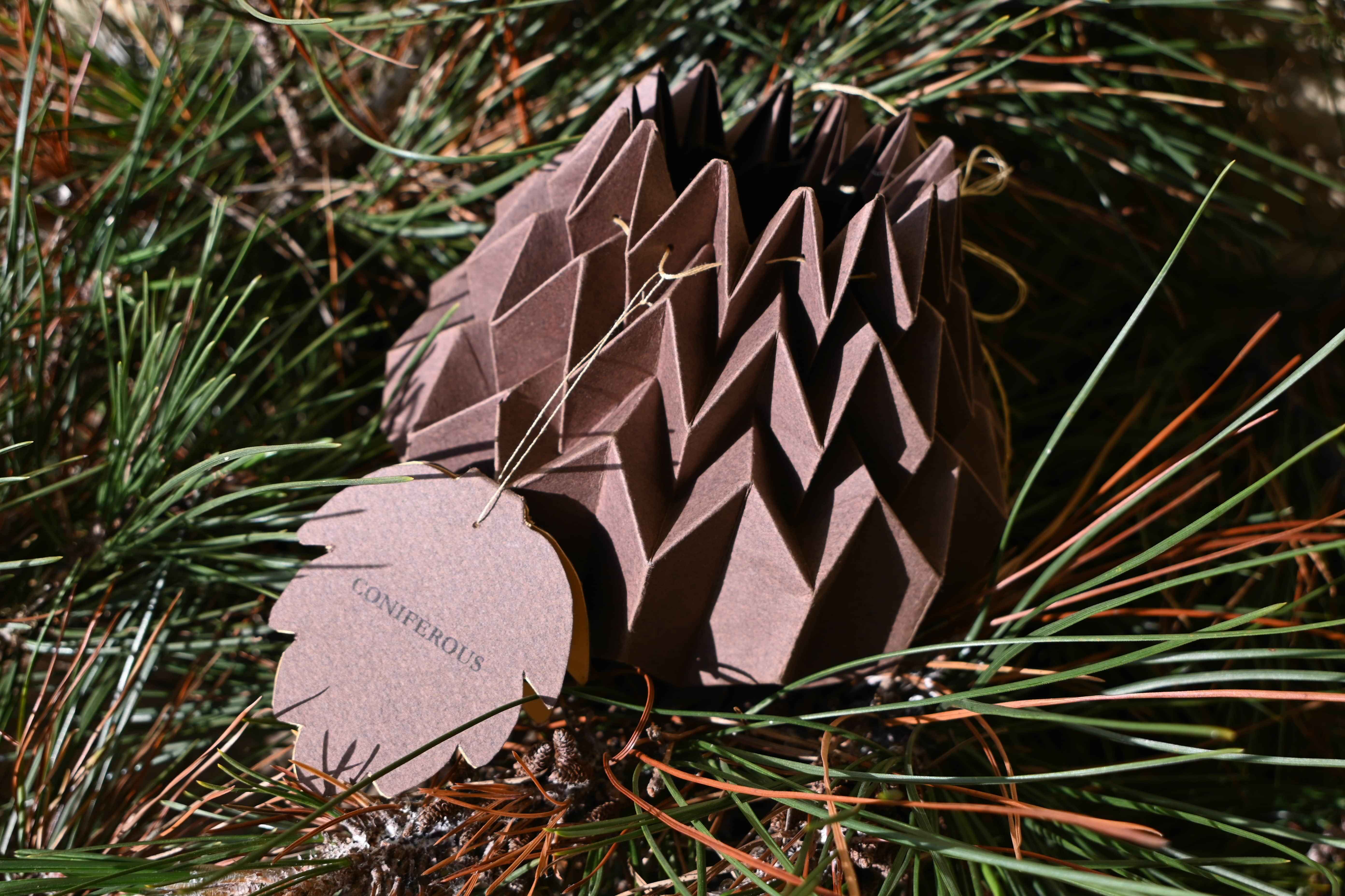 Coniferous