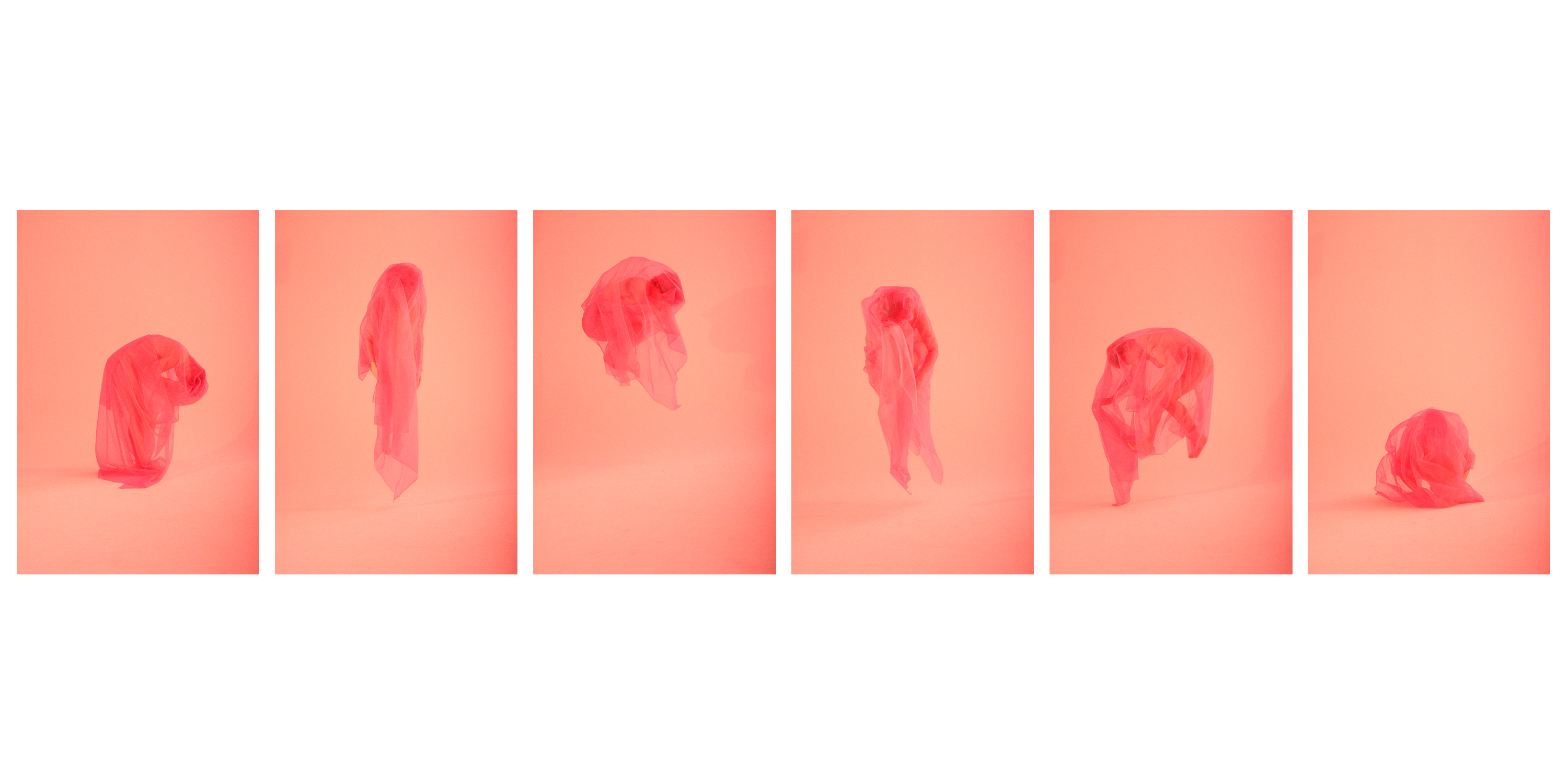 Digital Photography