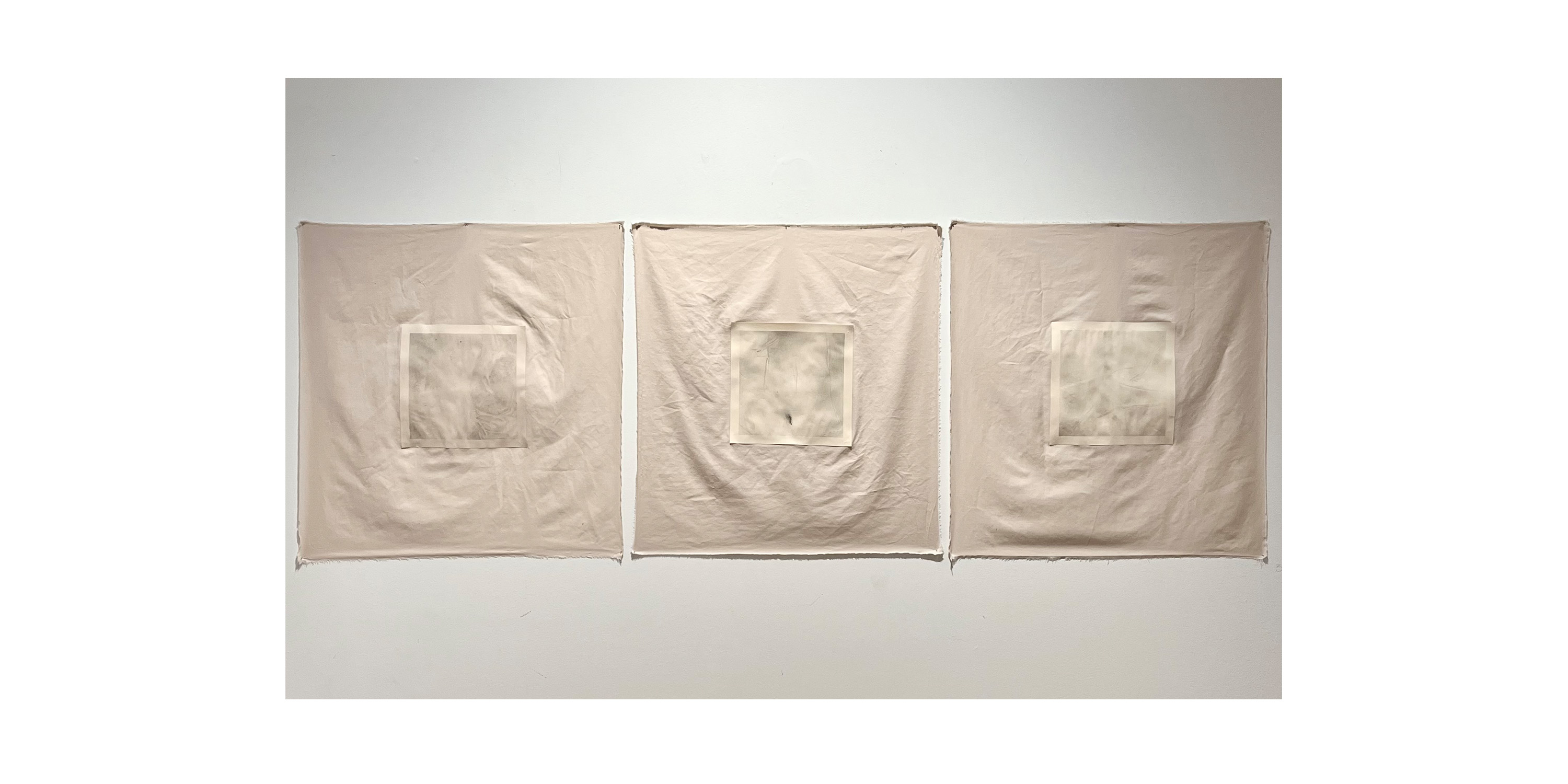 Graphite on Paper, Mounted on Cotton Sheet