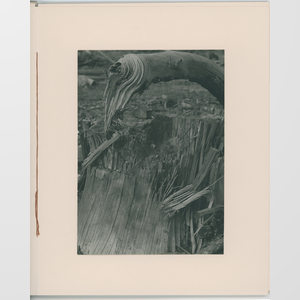 Landscape Eulogy