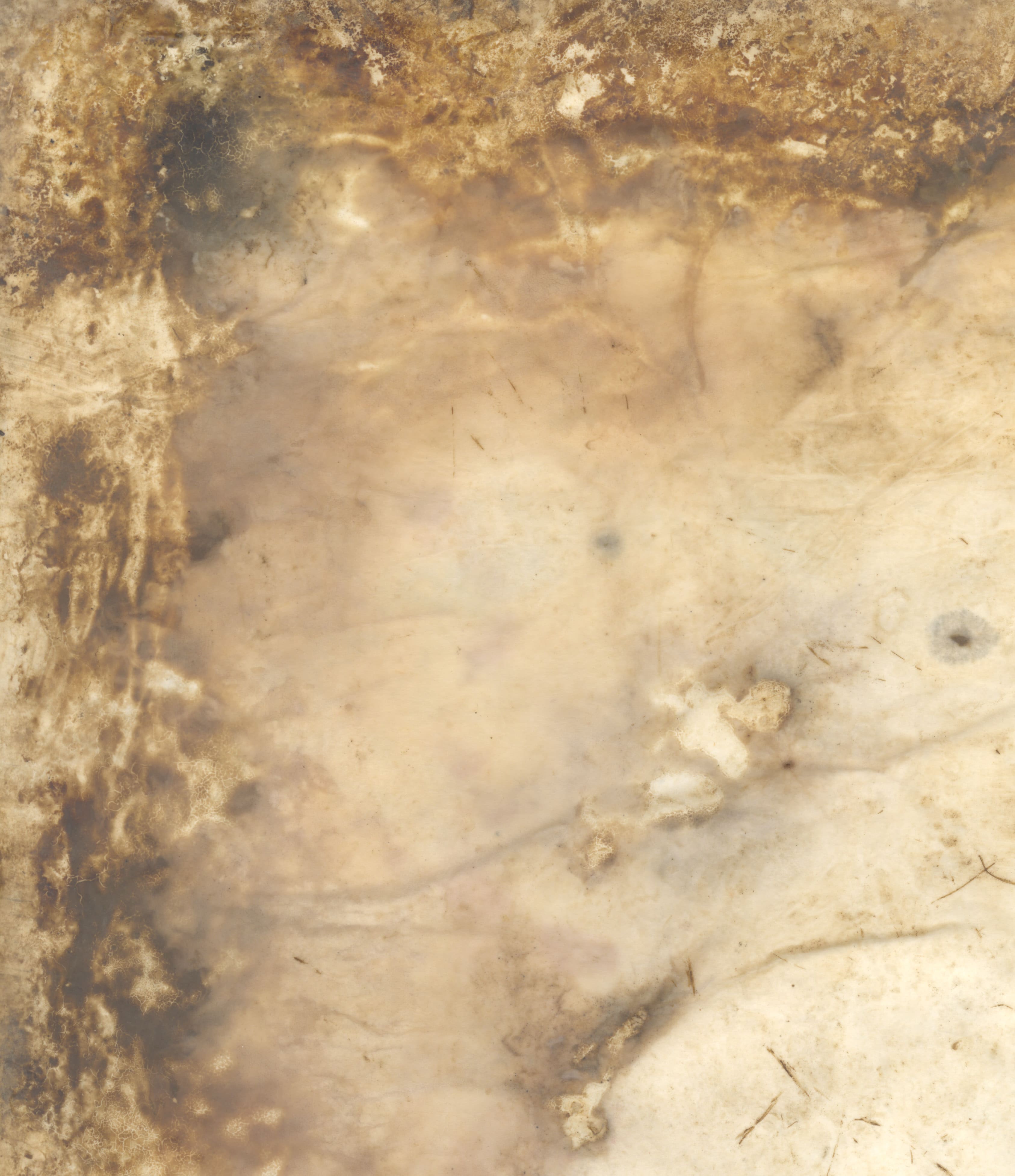 Landscape Eulogy (detail)