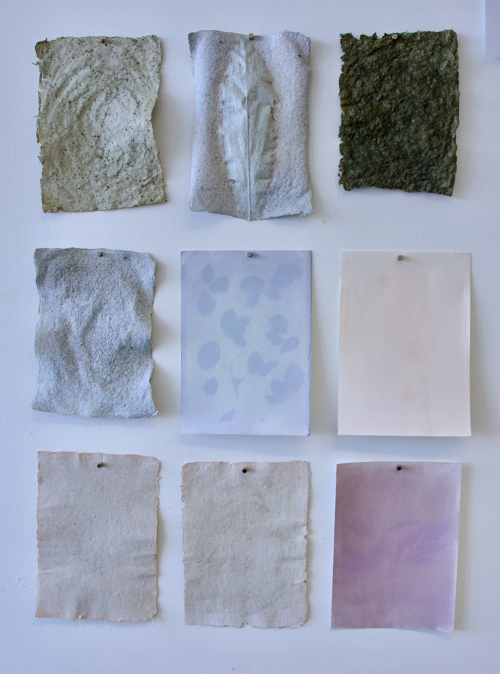 'Garden Assemblage', 2024. Photography