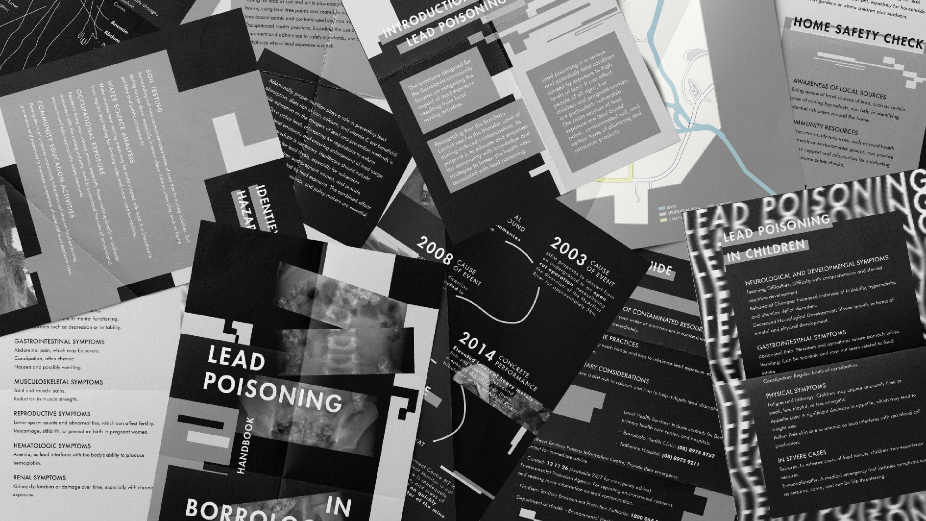 'Lead Poisoning in Borroloola', 2023. Brochure