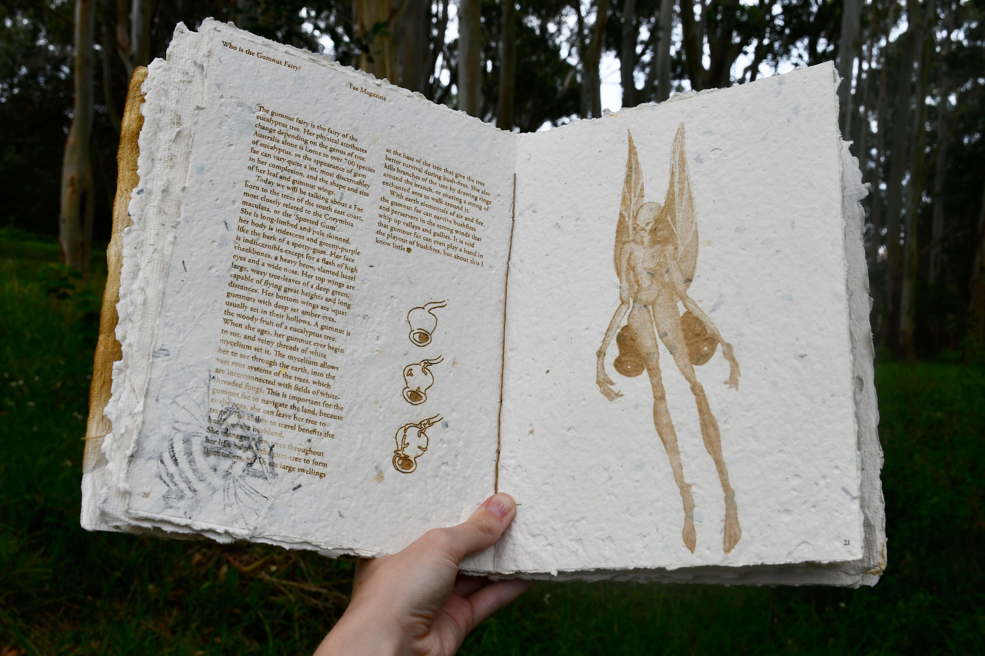 'The Feature Fairy, the 'Gumnut Fae'', 2024. Print Publication