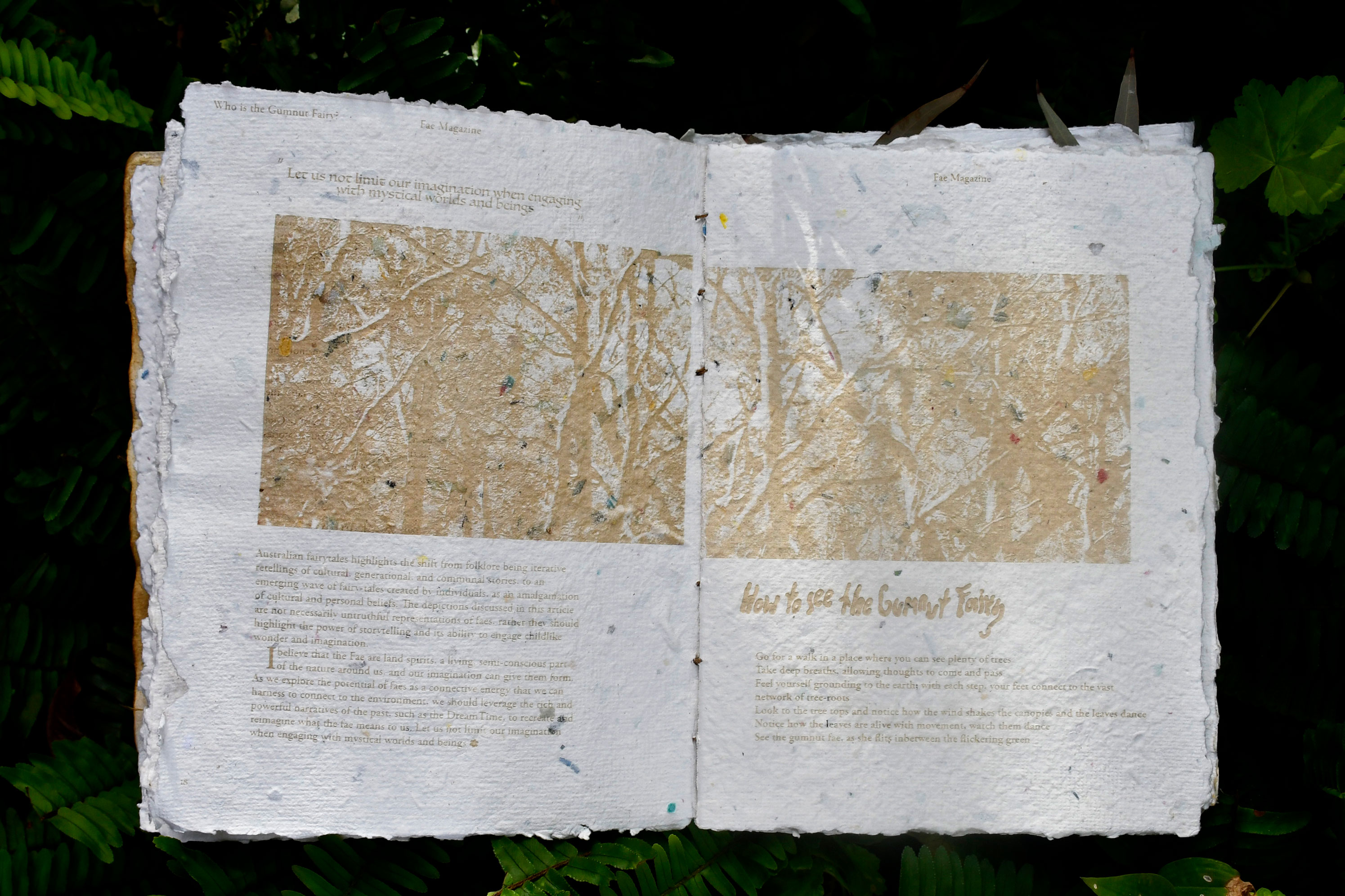 'How to see the 'Gumnut Fae'', 2024. Print Publication