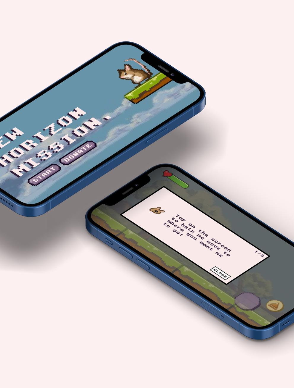 New Horizon Mission