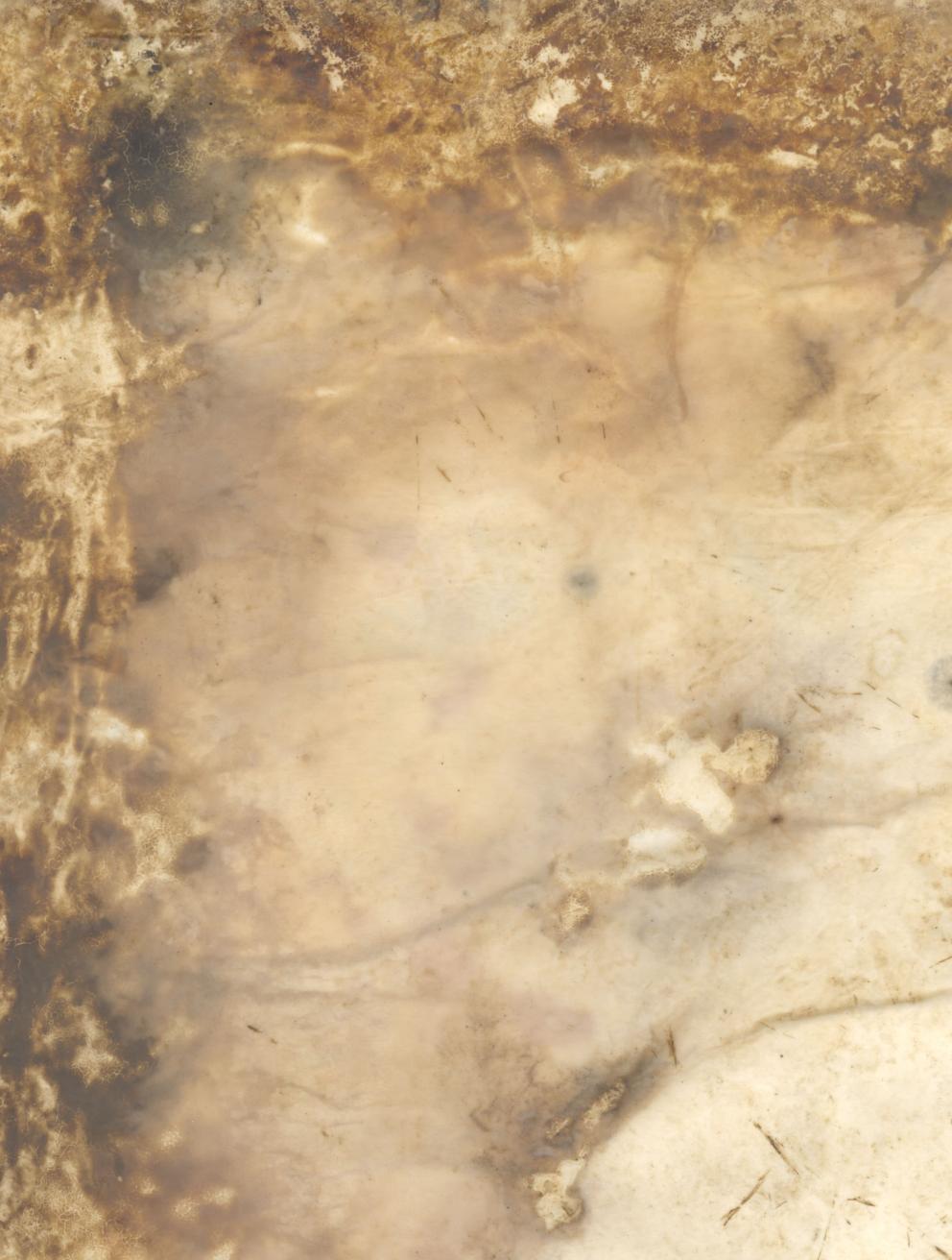 Landscape Eulogy (detail)