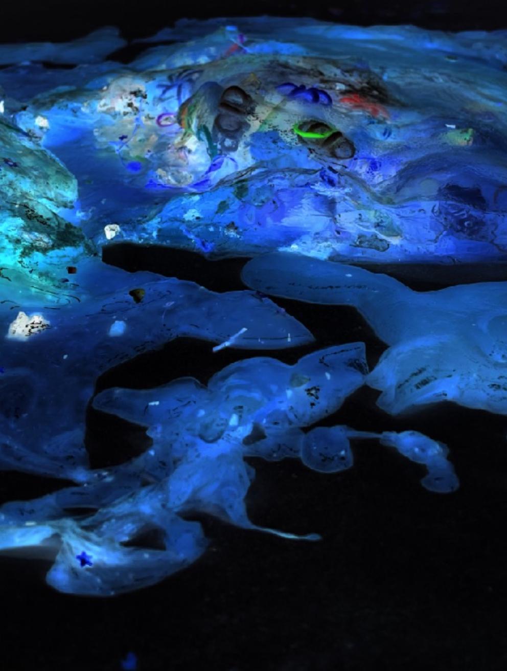 'Human brain x ocean trash', 2024. Marine protection