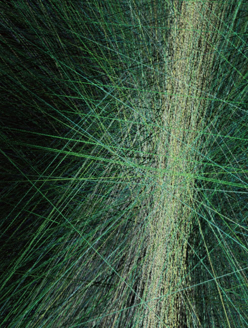 'Silent Roar', 2024. Interactive device