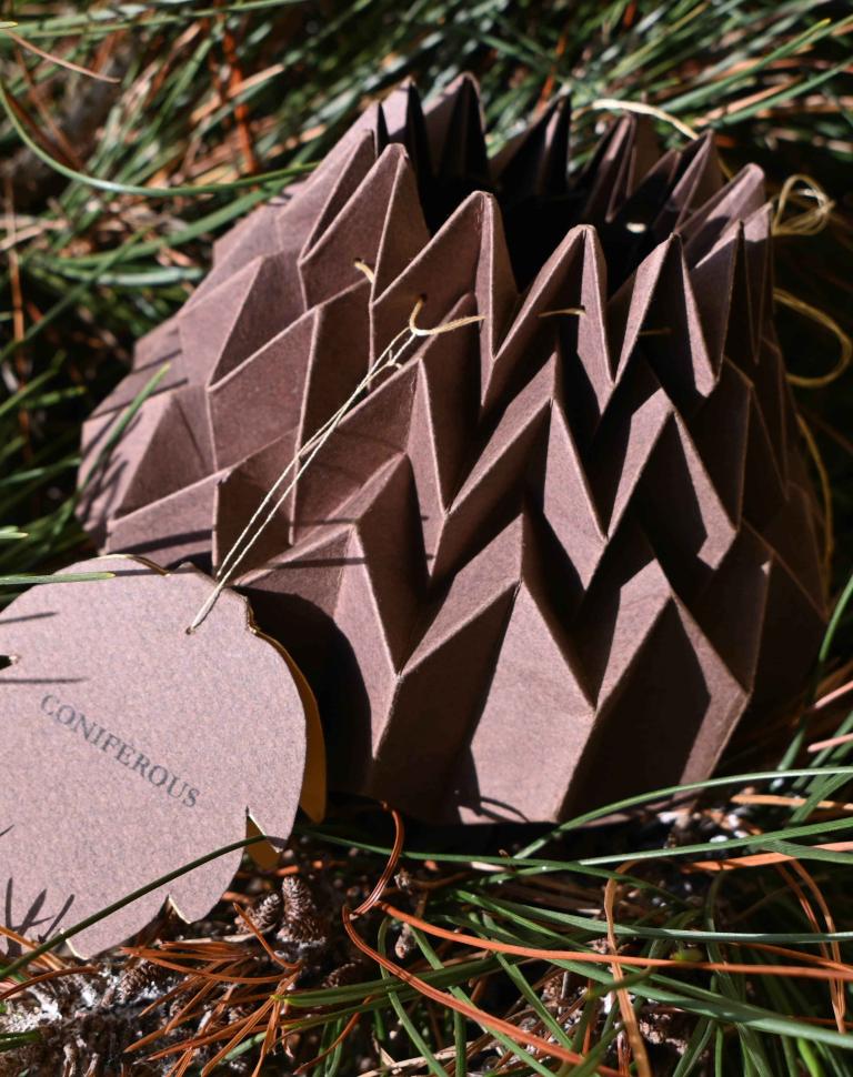 Coniferous