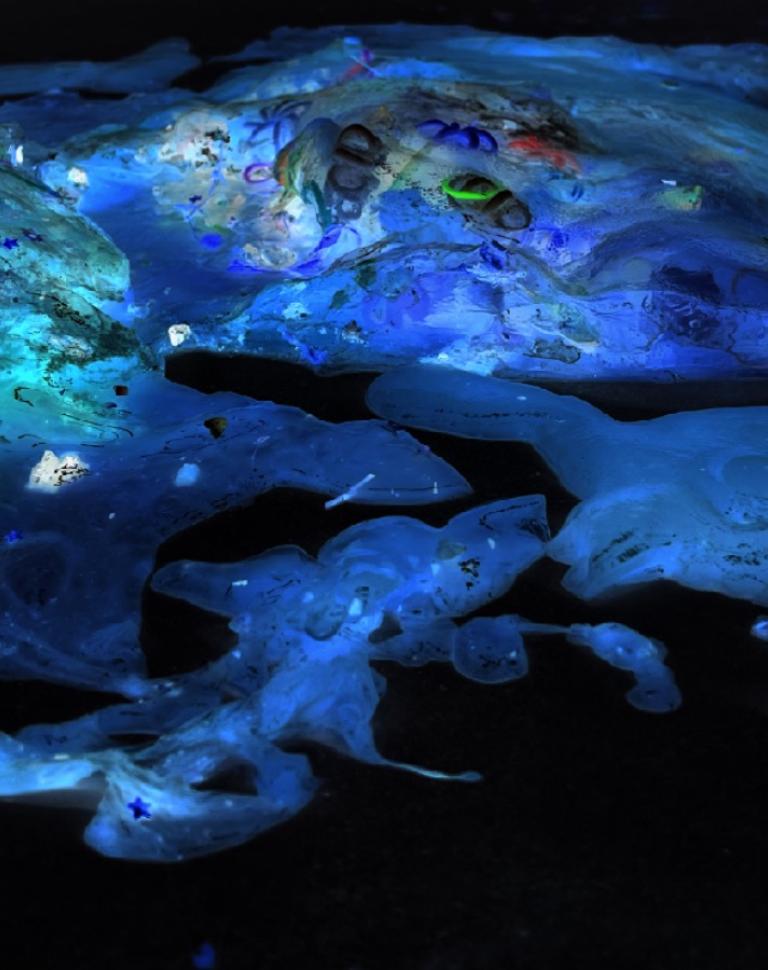 'Human brain x ocean trash', 2024. Marine protection