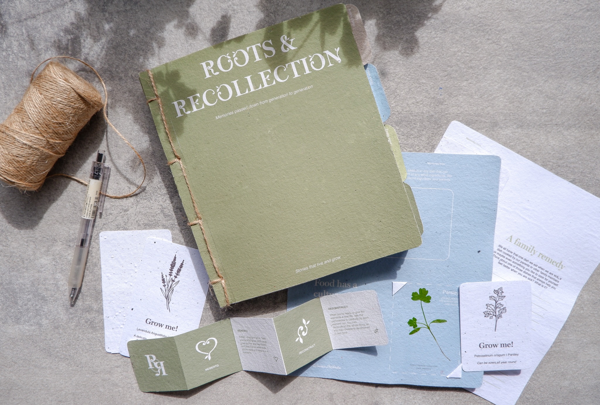 'Roots & Recollection', 2025. Mixed media publication