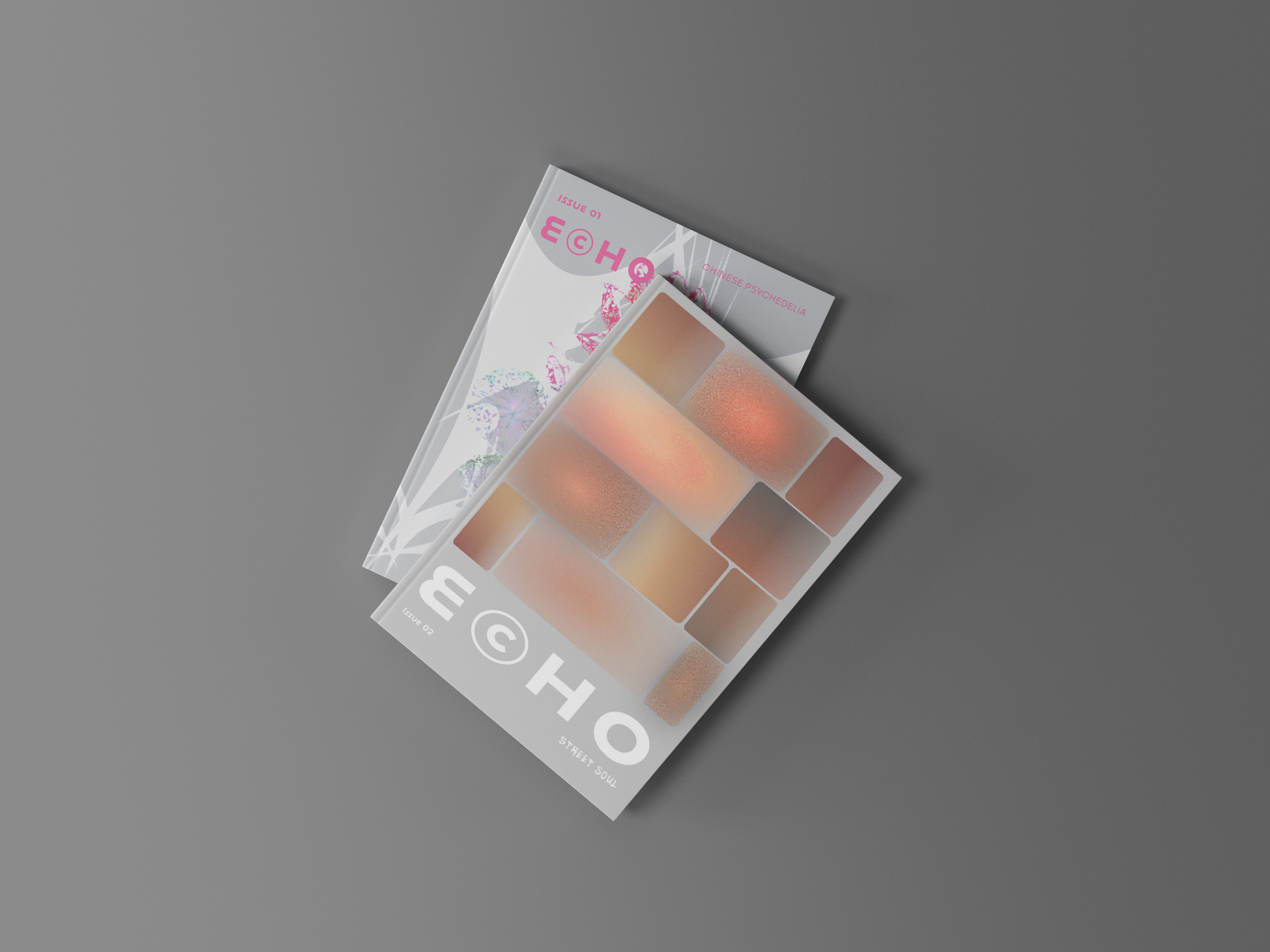 'ECHO Issue Covers', 2025. Print